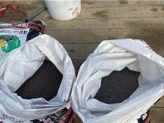 肥料有色差遭疑「舊裝新賣」 桃園農業局已採樣送驗