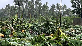極端氣候 產險農保Q1損失率9成