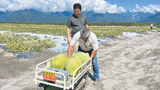 東華師生開發 AI採收車幫搬瓜