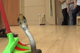 彰化「長蟲橫行」！4個月狂抓801條蛇　這3大類毒蛇最多