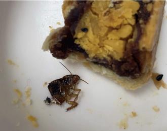 检察官认证！名店蛋黄酥有「小强」尸体！网友PO文不起诉