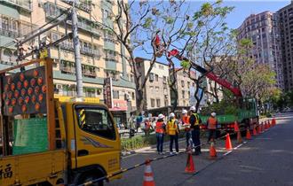汛期防災整備 景觀處修剪路樹、水利局改善低窪區排水