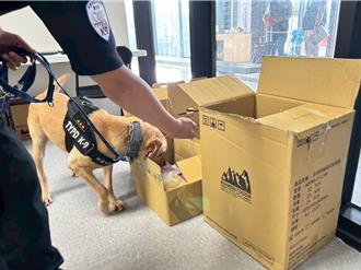 確保世壯運賽事安維！桃警犬「呆萌出動」 檢查場館內各角落