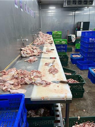 雞肉加工廠藏匿黑工！ 移民署新北專勤隊查獲16名泰籍人士