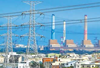 燒煤救供電 盧秀燕行政院會舌戰中央