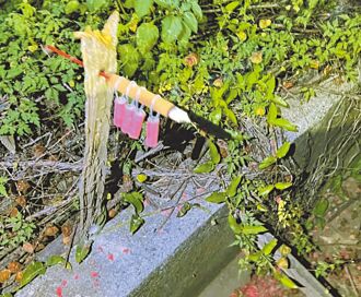 台南 半夜炮聲擾民 警踏田揪禍源