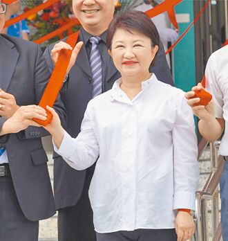 賴政府吃飽太閒