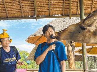 曼谷动物歹斗阵 黄镫辉惨遭舌吻袭下体