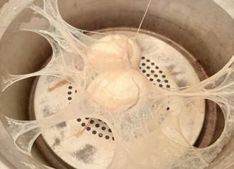 蒸蛋把大同電鍋「煉成盤絲洞」 主婦傻眼 1.7萬人笑翻