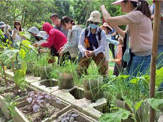 邀新住民體驗食農樂趣 台中豐原戶所推青蔥主題班