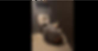 台東酒吧「調酒喝到飽」出人命！37歲男醉倒廁所 送醫不治