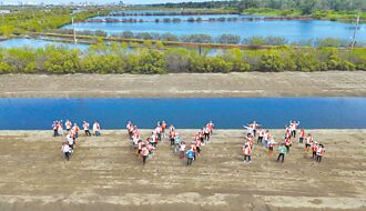 台灣大紅樹林復育計畫 全球首創
