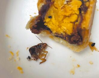 女爆蛋黄酥藏蟑螂 名店提告吞败