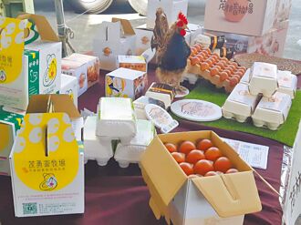 台灣第一 苗栗動福蛋出口帛琉