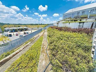 新化果菜市场 最美得来不易