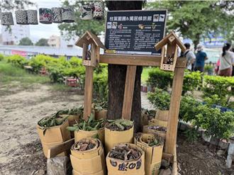 不是垃圾！廢紙箱＋落葉變生態沃土 烏日幸福河畔築起枝葉園圃