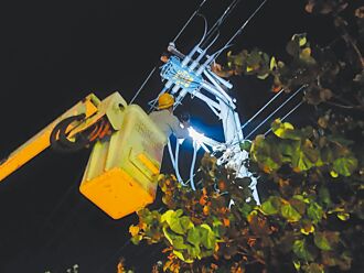 這次怪蛇 中彰停電影響逾7000戶