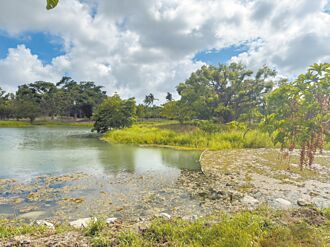 卫武营生态池优养化 市府吁勿喂鱼