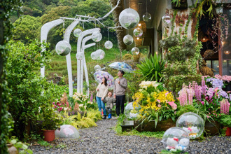玩转竹子湖最美春天「芋」见缤纷花海 邂逅梦幻花艺地景