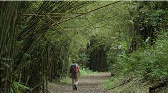 影》淡蘭百年山徑北北基宜會師宜蘭接棒 5／27開放報名