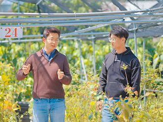 聖揚機構 捐發票助山林復育