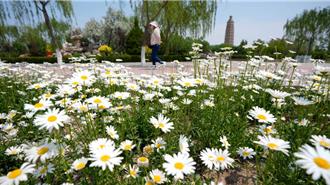 40℃以上！端午華北熱爆  南方現「龍舟水」：高溫與大雨交錯