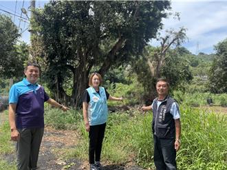 桐林里攜朝陽師生改造凌亂點 盼爭取桐林荒地新生