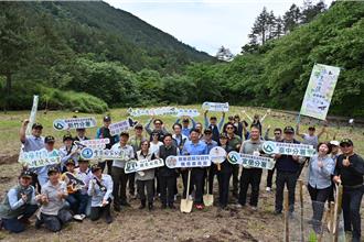 守護特有種寬尾鳳蝶 武陵農場種台灣檫樹等蜜源樹種