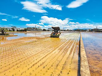 省工、省時、省料 台肥推出液態型緩釋肥料