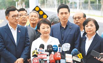 盧秀燕：調整能源政策 時猶未晚