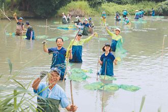 嘉县公私合作 打造水雉新浮地