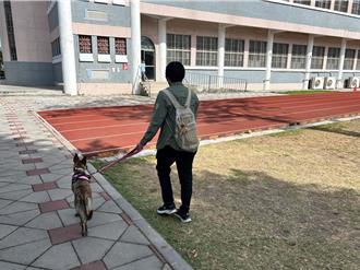 屏縣14項動保條例上路 遛狗未繫繩最高開罰破萬元