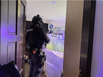 外籍補教師在台設大麻產銷鏈   自種自銷市值逾2千萬