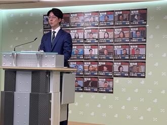 蘇治芬傳「被」請辭中常委！ 洪申翰沒辭惹議   民進黨：別見縫插針