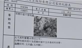 毛髮、小虫、蟑螂全上桌！基隆学校午餐异物频传 议员疑监督失灵