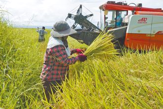 朝野提案農退儲金政府對提1.5倍 農業部：擬減少農民負擔額