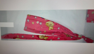 高雄碎屍魔張介宗作案工具曝光！ 「粉紅色小狗布條」成凶器之一