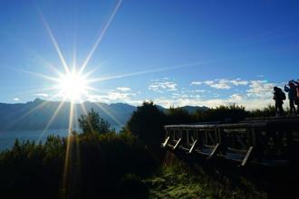 避暑季遊阿里山 享受芬多精、賞日出、住宿享5折限時優惠