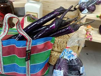 端午前後茄子盛產 老農教1吃法最美味