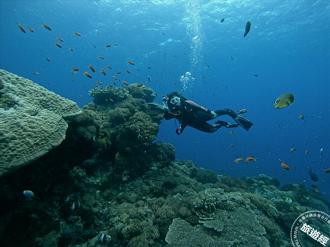 南港老爺行旅X鬥陣潛水 岬灣潛水限定團一站式考證FUN DIVE