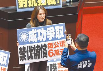 禁伐補償未編預算 高金轟欺負原民