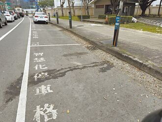 桃市智慧停車格 行動支付享優惠