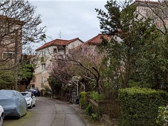 桃園明年增至529個里 醫護聚落、山間天堂特色揭密