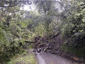 雪霸大鹿林道東線2處坍方 落石阻斷道路 自行車暫停通行