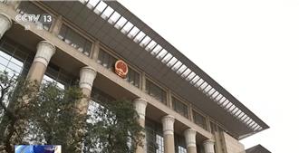 嚴懲有效！陸最高法院指偷盜   拐賣兒童犯罪呈零星個案態勢