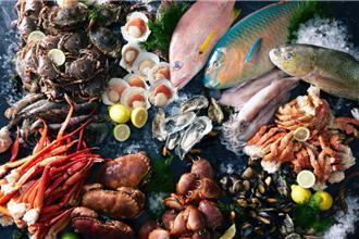 台北喜來登十二廚海鮮季30種尚青料理開吃 平日4人同行1人免費