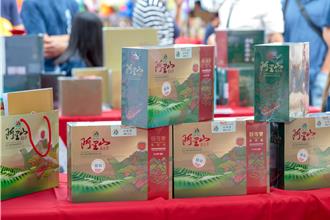 持续低温阿里山春茶增产3成 优良茶竞赛今颁奖