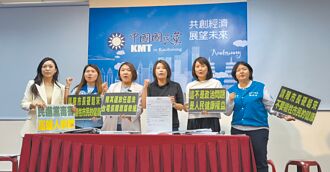 興達偷發電 藍營揚言告高市府