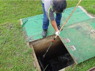桃园龙潭大池告别优养化 「生态净水系统」每日净化2.1万吨水