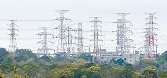 台電釋大單 四線纜廠得標